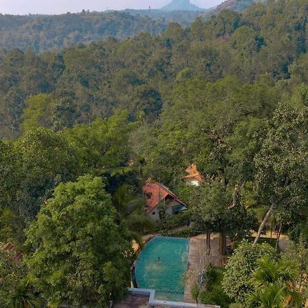 Willow Resorts Ambalavayal Luaran gambar