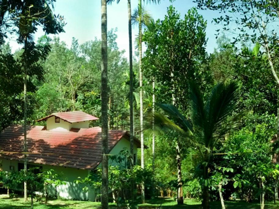 Willow Resorts Ambalavayal Luaran gambar